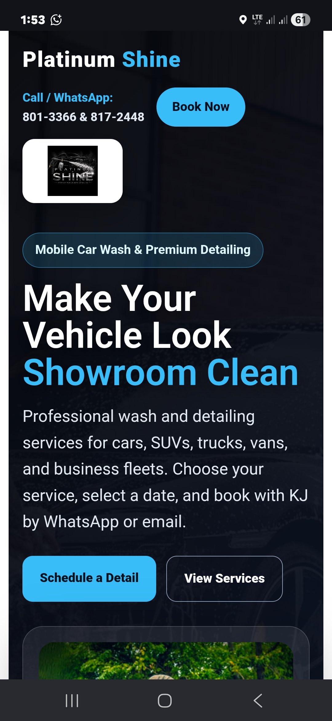 Platinum Shine 242 website screenshot